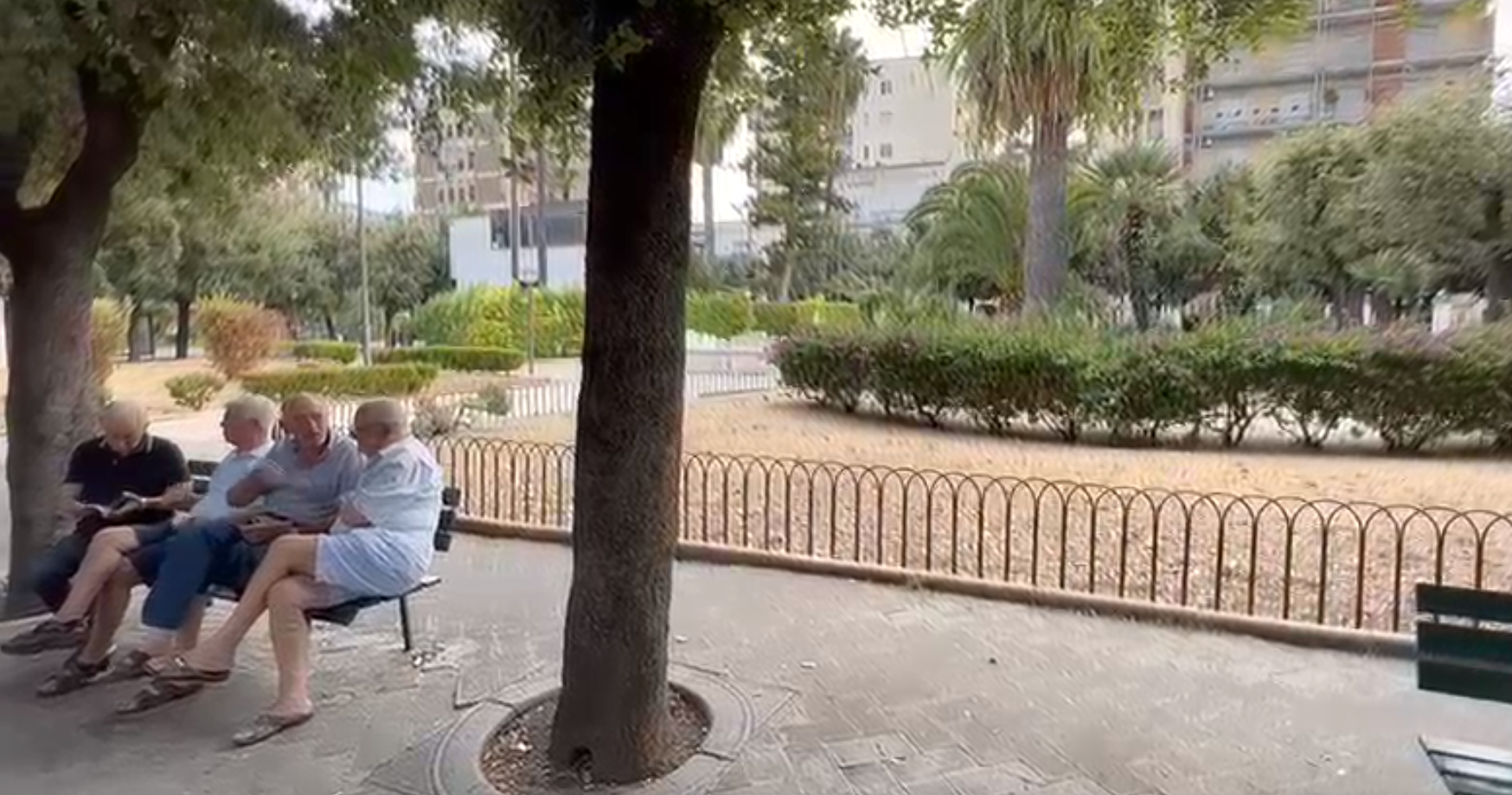 Trani, il centrodestra si da appuntamento in piazza: "La farsa è compiuta, ascolteremo i cittadini"