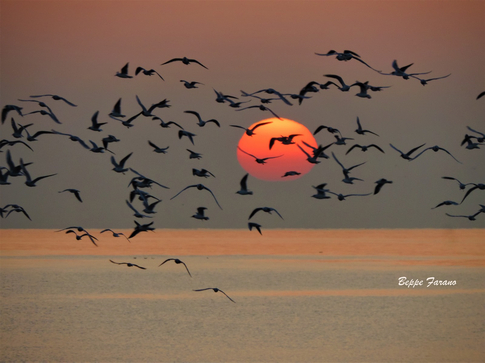 Trani alle prime luci dell’alba: la riscoperta del bello