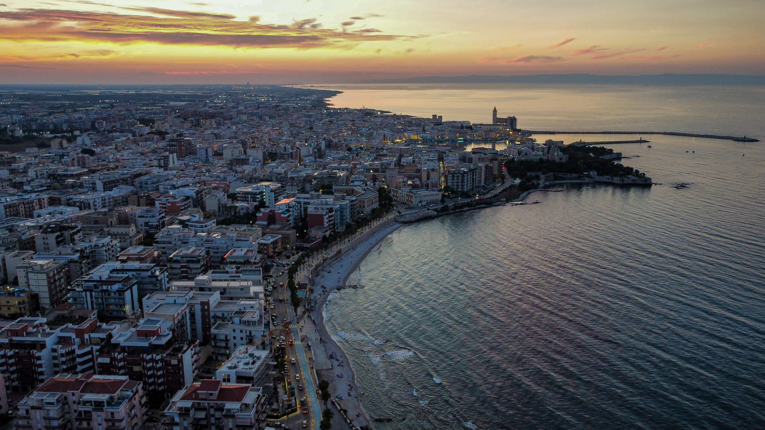Trani, una domenica di bellezza: delfini a pochi metri dalla costa e tramonto mozzafiato