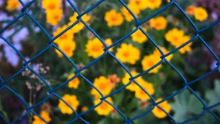 Recinzioni per il giardino: privacy e sicurezza dei confini